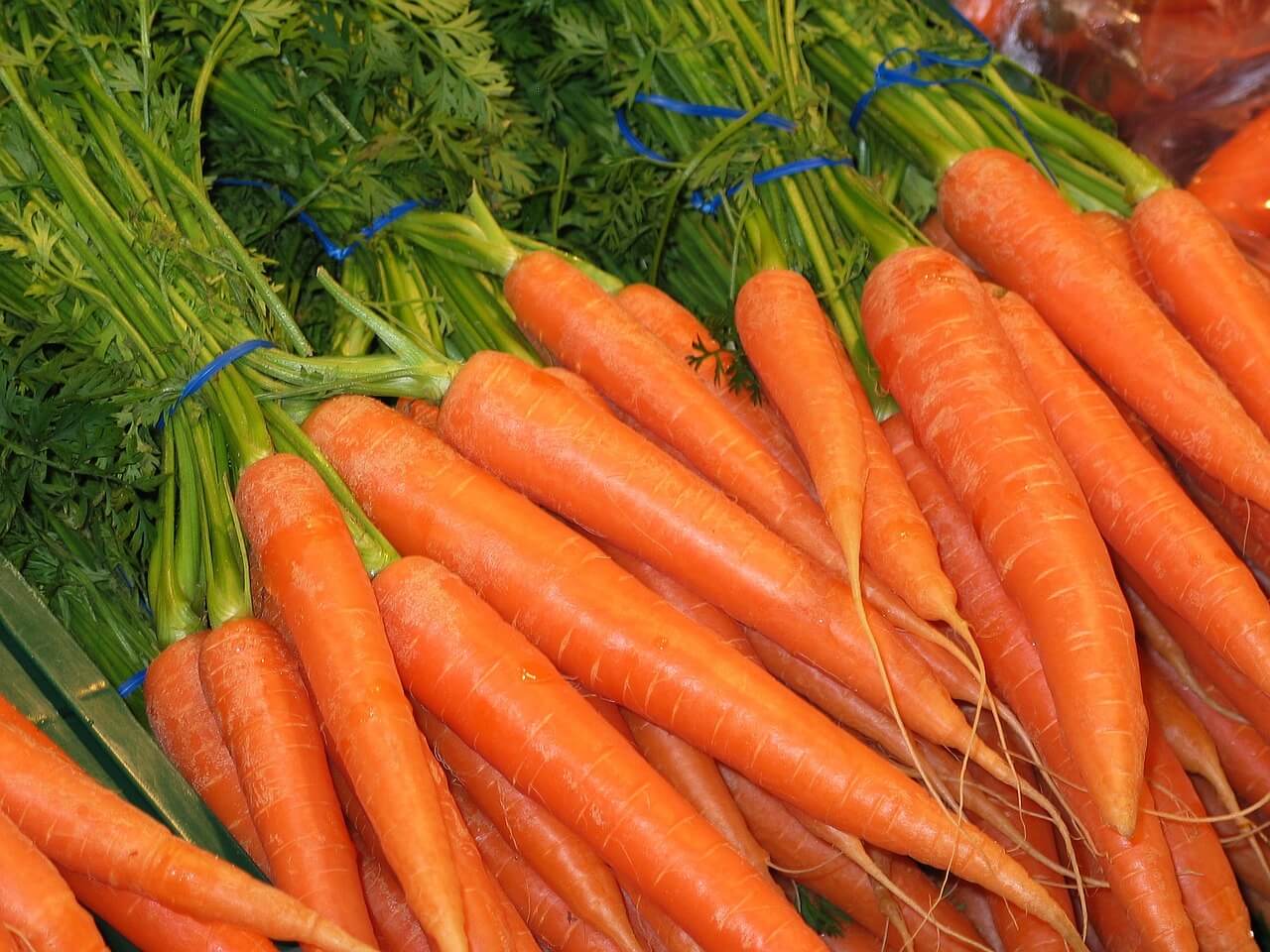 carrots-g342500830_1280