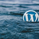 WordPress Uzmanı: Dijital Dünyanın Anahtarı