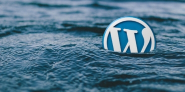 Wordpress Uzmanı (16)