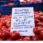 allianzdan-meme-kanseri-farkindalik-ayina-ozel-proje-pazarda-elle-muayene.jpg