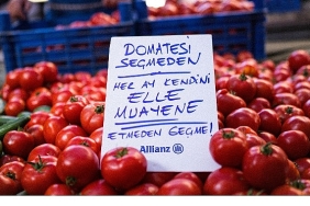 allianzdan-meme-kanseri-farkindalik-ayina-ozel-proje-pazarda-elle-muayene.jpg