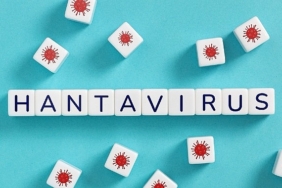 hantavirusun-insandan-insana-yayilim-riski-dusuk.jpg