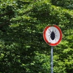 kene-isiriginda-erken-mudahale-hayat-kurtariyor.jpg