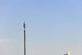 Paratoner (5)
