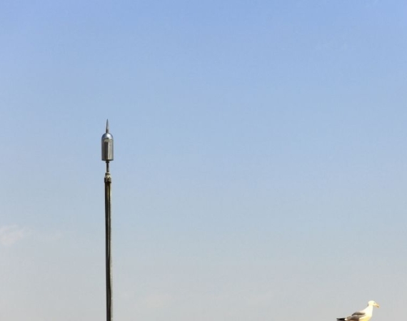 Paratoner (5)