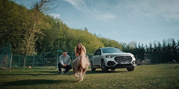 mercedes-benz-turkiye-ve-hacikodan-kopeklere-ozel-guvenli-yolculuk-filmi-ilk-yolculuk.jpg