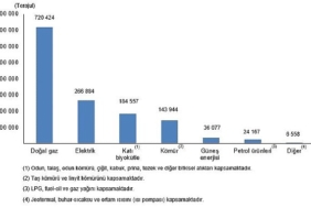 Hanehalkı Nihai Enerji Tüketim İstatistikleri, 2025